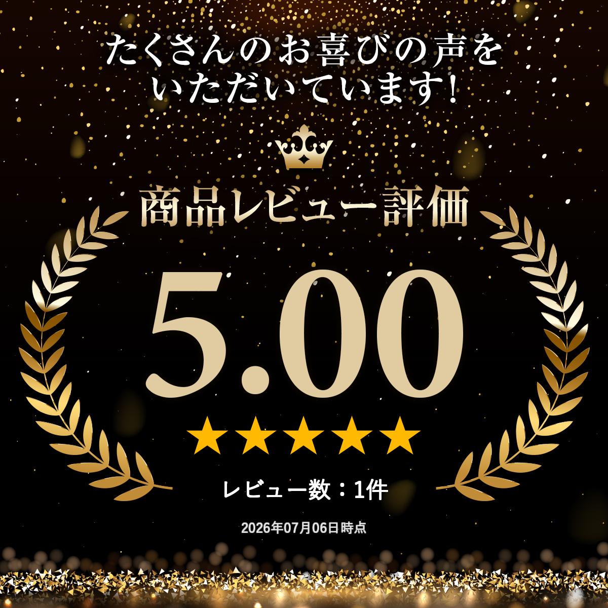 電池のいらない 6 LED ランタン充電 ソーラーパネル ダイナモ 防災災害 ライト エコ キャンプ電池なし アウトドア 地震対策