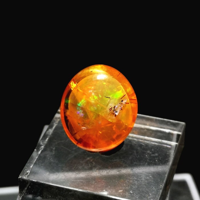 楽天市場】最新入荷!!目玉商品!!標本として極上游色おすすめのエッグ