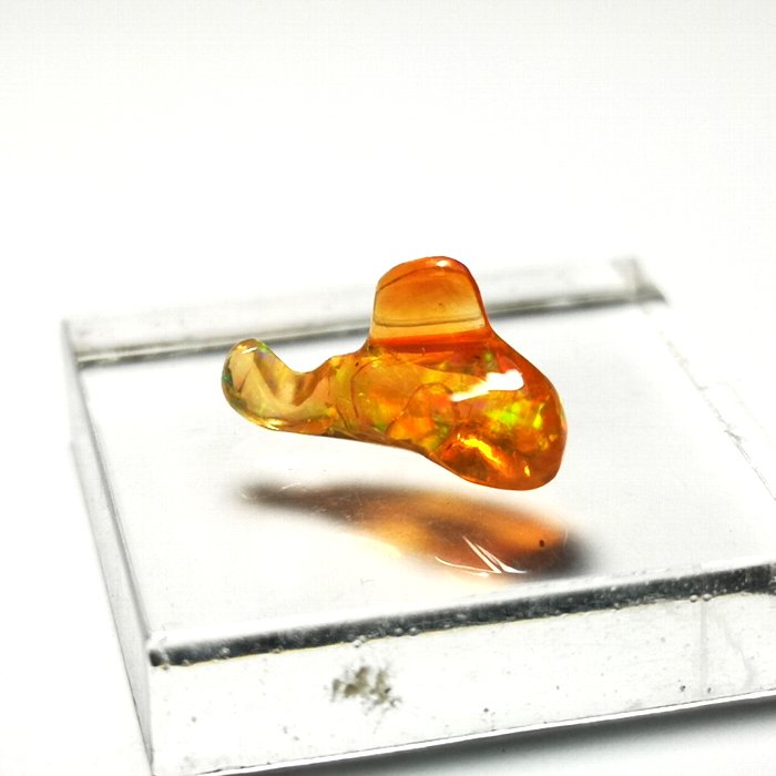 最新入荷!!フリーフォルム ファイヤーオパール ルース カンテラオパール 1.5ct Mexico産【送料無料】｜ドラゴンクリスタル