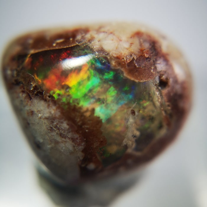 楽天市場】最新入荷!!目玉商品!!標本として極上游色おすすめのエッグ