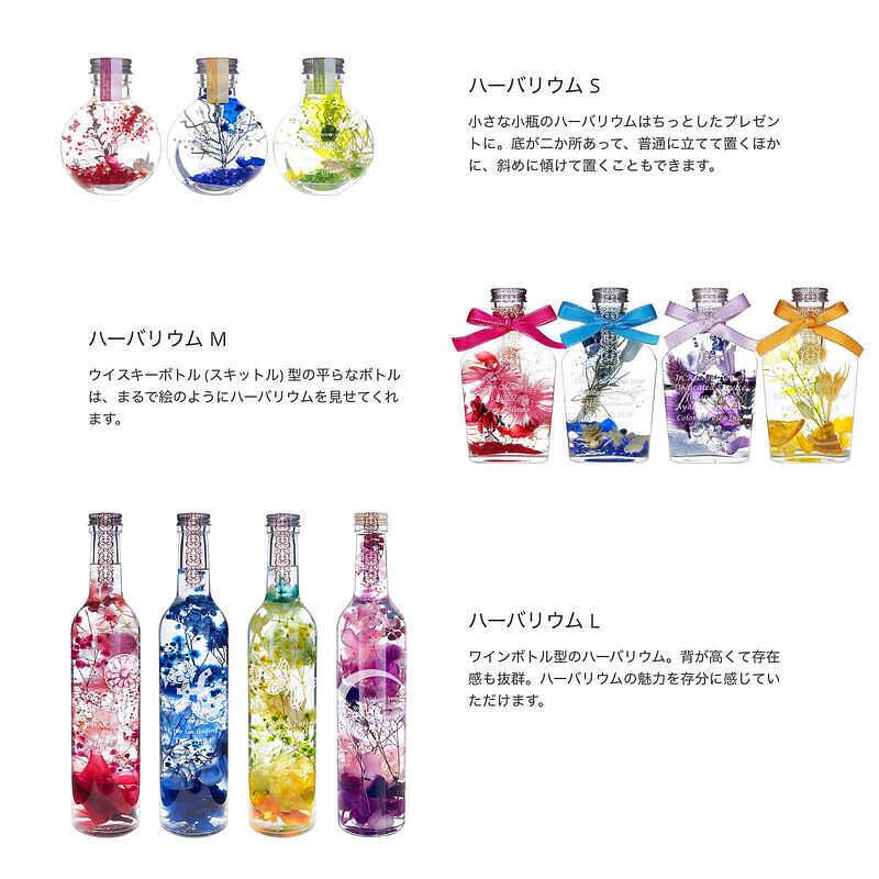 【送料無料】【名入れ】選べるデザインとメッセージが入るオリジナルハーバリウムLオレンジフラフィオレンジ