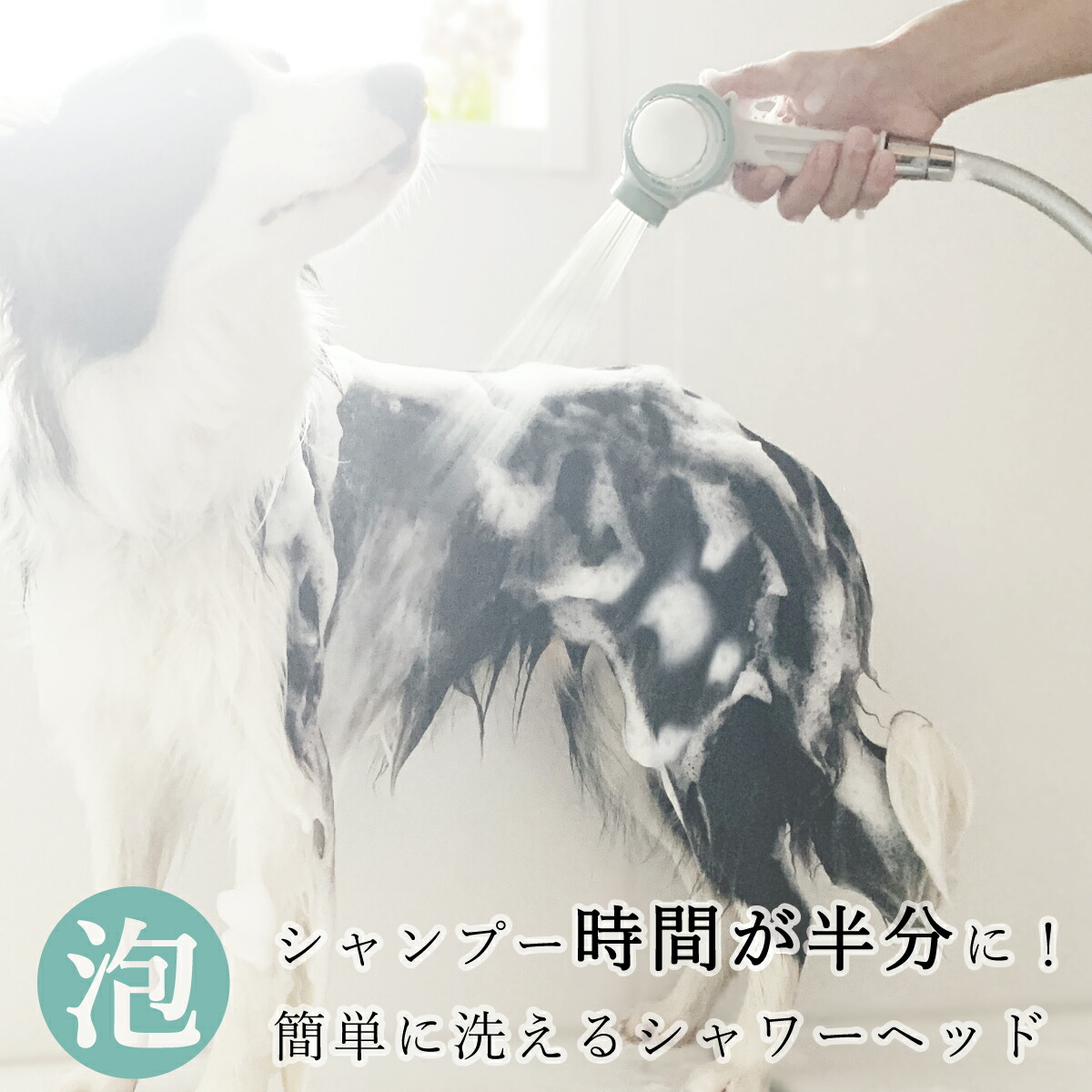 もちごめページ もちごめ兄弟 のROOM - 欲しい! に出会える。
