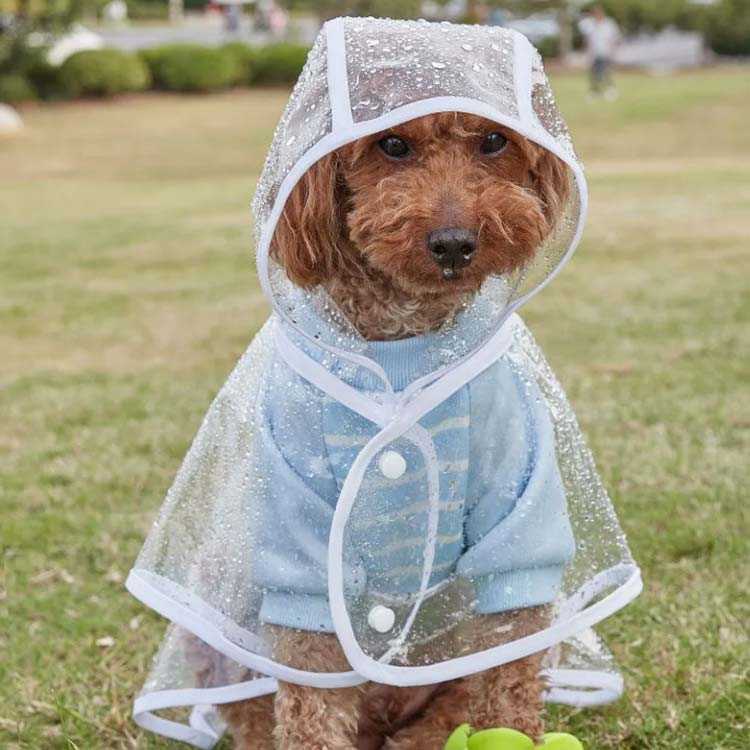 BACKYARD FAMILY インテリアタウン犬 服 通販 可愛い 雨の日 いぬ 中型 