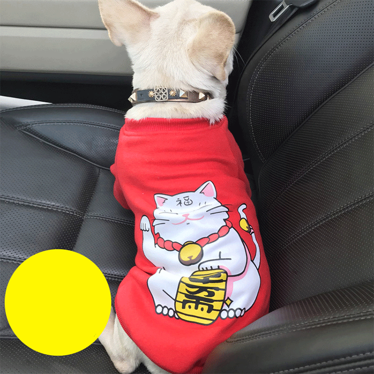 楽天市場 犬服 Tシャツ ドッグウェア 犬の服 小型犬 かわいい おしゃれ チワワ ペット ドッグ ダックス ペット服 トイプードル 犬用 トップス ペットウェア 可愛い ペット用品 洋服 大型犬 ドッグウエア 新作 セール カットソー トレーナー ウエア Sobuy Shop