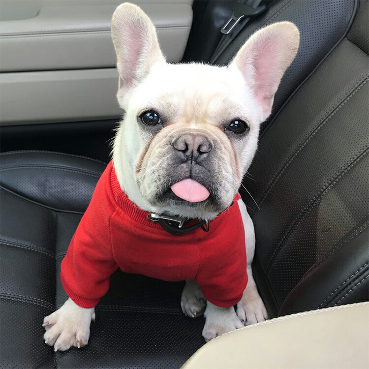 楽天市場 犬服 Tシャツ ドッグウェア 犬の服 小型犬 かわいい おしゃれ チワワ ペット ドッグ ダックス ペット服 トイプードル 犬用 トップス ペットウェア 可愛い ペット用品 洋服 大型犬 ドッグウエア 新作 セール カットソー トレーナー ウエア Sobuy Shop