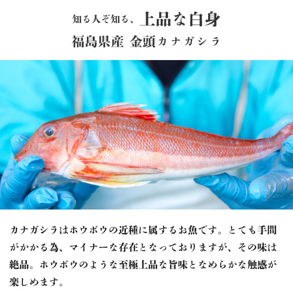 楽天市場 一口カットの 白身魚フライ 1kg 250g 4p 金頭の一口フライ 福島県産 カナガシラ 使用 冷凍 国産 白身フライ お弁当 食品 おかず 揚げ物 魚 フライ 揚げるだけ 保存食 パーティ 送料無料 宅食ふくしまプライド 魚のおんちゃま 楽天市場店