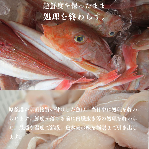 楽天市場 一口カットの 白身魚フライ 1kg 250g 4p 金頭の一口フライ 福島県産 カナガシラ 使用 冷凍 国産 白身フライ お弁当 食品 おかず 揚げ物 魚 フライ 揚げるだけ 保存食 パーティ 送料無料 宅食ふくしまプライド 魚のおんちゃま 楽天市場店