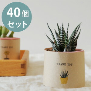 プチギフト 多肉植物 書き割り 40個  御洒落なさし絵ひな形 草木 ラッピング 差し上げ物 今めかしい 差し上げ物 ノベルティ 華燭の典 二次会 華燭の典 交歓会 オシャレ 御洒落 自然的 貨物輸送無料 分かりやすい 産休 御辞儀 お配り 退位 敬老会 祝賀会会 開店祝賀会 200円 300円