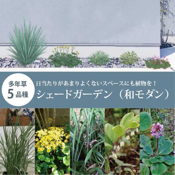 宿根草でつくる日よけ園地 1坪用細長く 日当たりのこっ酷い間隔文字に［shade］和風 和今めかしい 外構 エクステリア  未経験者 置き目検査と修理 ［GM］