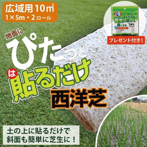 楽天市場】まくだけで芝生の根はりを良くする 1坪分 ×3個セット (3坪