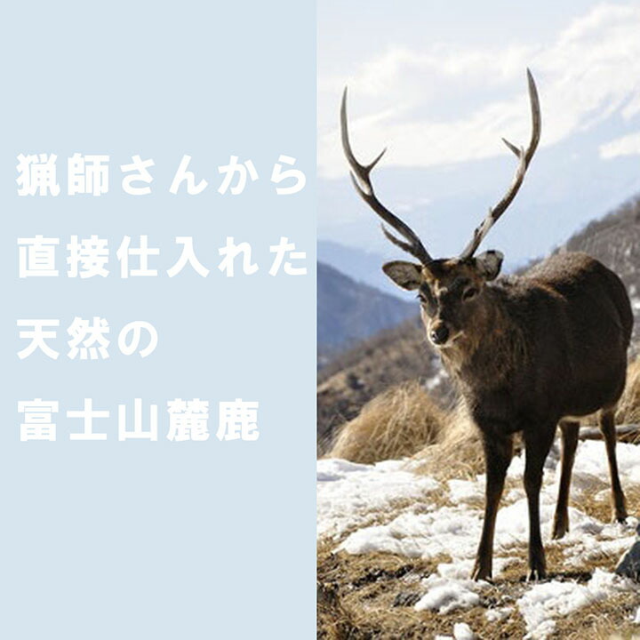 うっすらお肉付きで鹿のあばら骨を乾燥させた ガリガリと飽きずに噛める犬のおやつです FUJI DOG ペットタウン 犬 骨 おやつ 鹿の乾燥  スペアリブ 50g 犬用 ジャーキー 鹿 アバラ 鹿肉 二ホンジカ 本州鹿 無添加 国産 ジビエ 大型犬 安心 高タンパク 中型犬 シニア ...