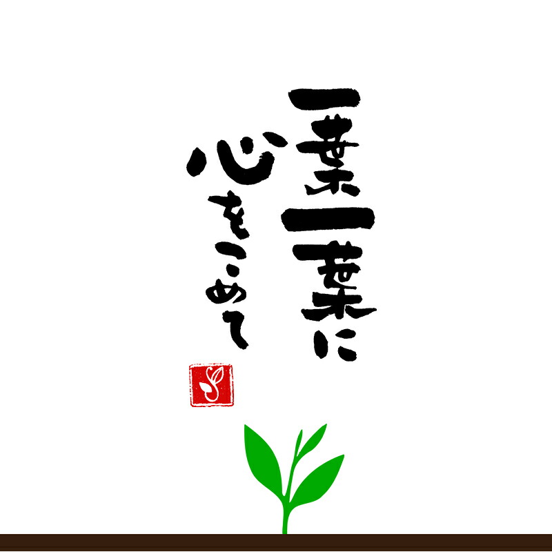 お茶 深蒸し茶 100ｇ袋入り×３袋セット ほまれ オリジナルブレンド 会社用に 八女茶 合計300ｇ 日本茶 普段使い 来客用 深むし茶 煎茶 緑茶  茶葉 鹿児島茶 世界の 煎茶