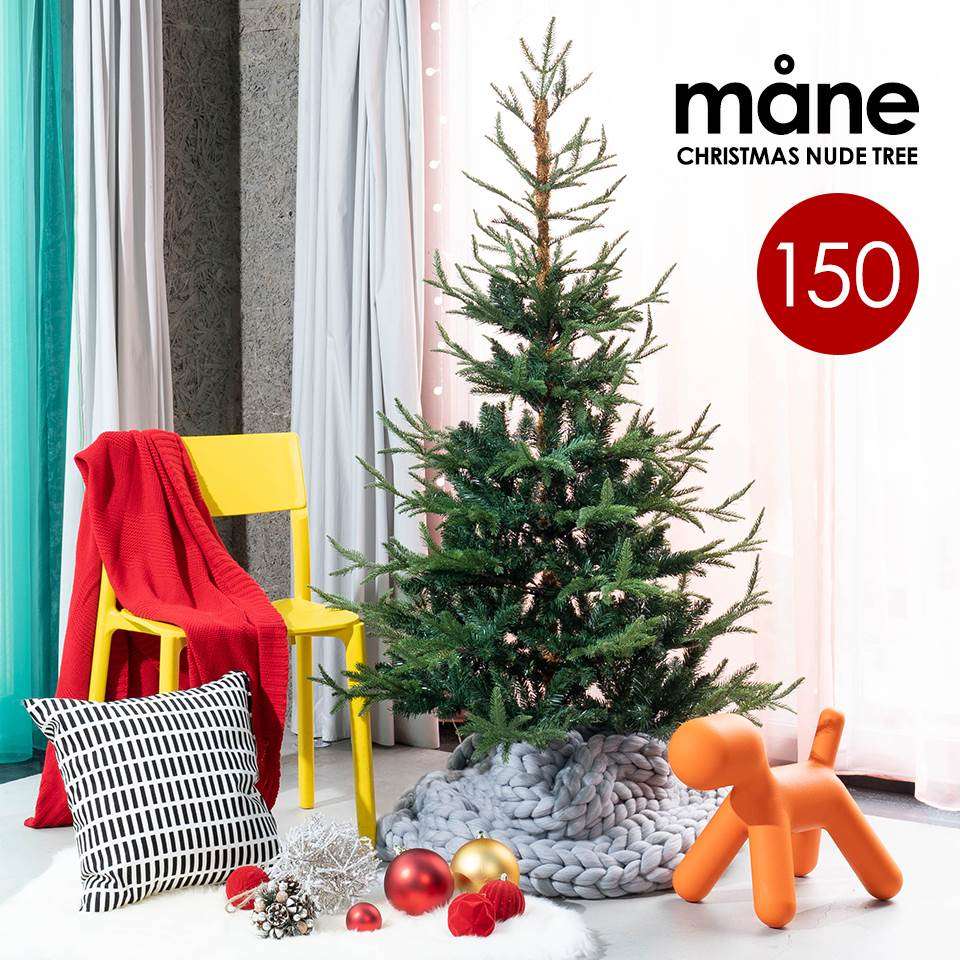 ☆クリスマスツリー mane モーネ クリスマスツリー 150cm 高級 フィンランド ヌードツリー クリスマス ツリー mane モーネ オーナメントセット なし 本物のモミの木に近いヌードツリー サングッド