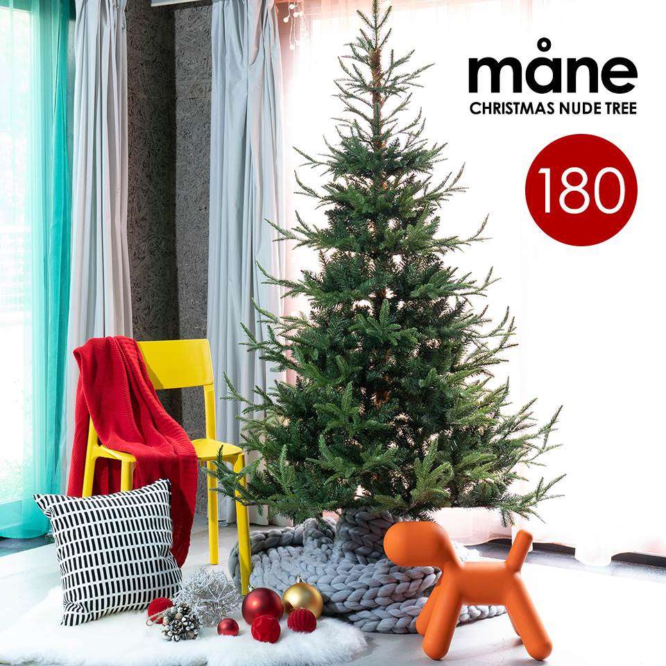☆クリスマスツリー mane モーネ クリスマスツリー 180cm 高級 フィンランド ヌードツリー クリスマス ツリー mane モーネ オーナメントセット なし 本物のモミの木に近いヌードツリー サングッド