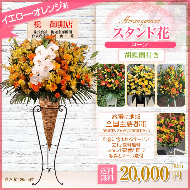 Rakuten 楽天市場 スタンド花 コーン 胡蝶蘭付き 開店祝い 花 花色は選べる5色 000円 税別 高さ180cm位 東京都 神奈川県 一部除く 大阪府 札幌市 名古屋市 福岡市 お祝い スタンド花 開店 移転 開院 開業 公演 オープン ライブ Stde スタンド花