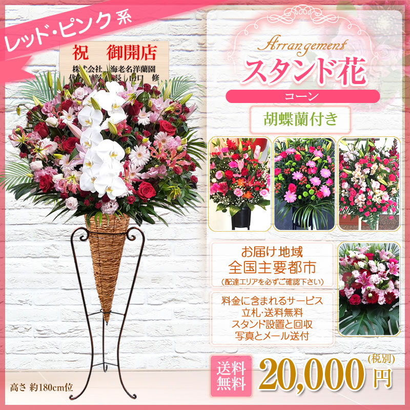 Rakuten 楽天市場 スタンド花 コーン 胡蝶蘭付き 開店祝い 花 花色は選べる5色 000円 税別 高さ180cm位 東京都 神奈川県 一部除く 大阪府 札幌市 名古屋市 福岡市 お祝い スタンド花 開店 移転 開院 開業 公演 オープン ライブ Stde スタンド花