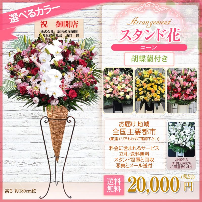 Rakuten 楽天市場 スタンド花 コーン 胡蝶蘭付き 開店祝い 花 花色は選べる5色 000円 税別 高さ180cm位 東京都 神奈川県 一部除く 大阪府 札幌市 名古屋市 福岡市 お祝い スタンド花 開店 移転 開院 開業 公演 オープン ライブ Stde スタンド花