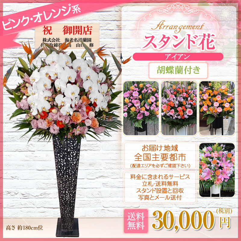 人気デザイナー開店祝いスタンド花高さ180cm位花色は選べる5色30 000円 税別 ライブ スタンド花花あす楽アレンジメント胡蝶蘭付きスタンド花 アイアン スタンド花東京都 神奈川県 一部除く 大阪府 札幌市 名古屋市 福岡市開店移転開院お祝い式典公演結婚式会場装