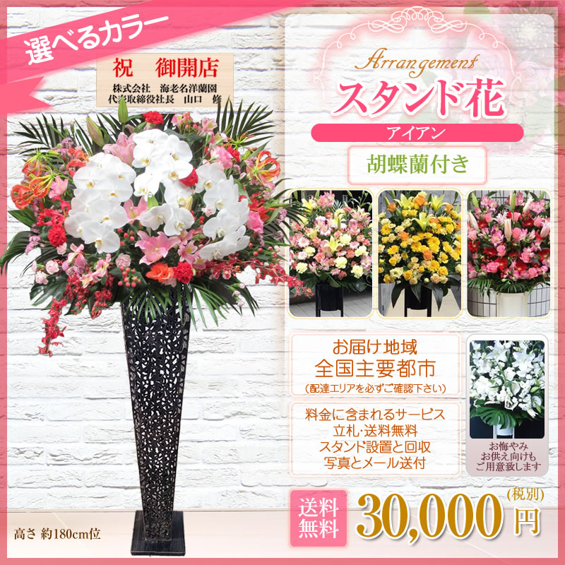 人気デザイナー開店祝いスタンド花高さ180cm位花色は選べる5色30 000円 税別 ライブ スタンド花花あす楽アレンジメント胡蝶蘭付きスタンド花 アイアン スタンド花東京都 神奈川県 一部除く 大阪府 札幌市 名古屋市 福岡市開店移転開院お祝い式典公演結婚式会場装