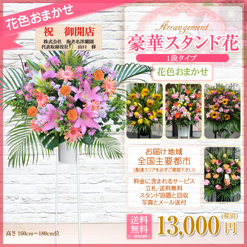 保証書付 スタンド花 1段 花ボリュームアップ 13 000円 送料無料 スタンド花 開店祝い 花 ギフト スタンド花 1段 高さ180cm位 東京都 神奈川県 一部除く 大阪府 札幌市 名古屋市 福岡市 スタンド花 開店祝い 移転 開院 お祝い 式典 公演 ライブ Stta