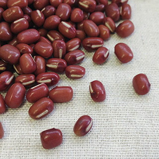 楽天市場】しゅまり小豆 1kg 2025年産 令和7年産 北海道産 : 豆・雑穀