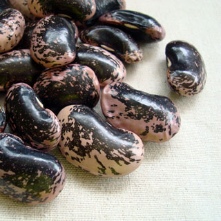 楽天市場】高原花豆 400g 2025年産 令和7年産 長野県産 : 豆・雑穀の