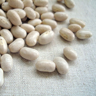 楽天市場】大手亡 500g 2024年産 令和6年産 北海道産 白いんげん 楽天市場】大手亡 500g 2024年産 令和6年産 北海道産 白いんげん