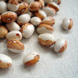 楽天市場】2021年 北海道産 パンダ豆(シャチ豆)【200g】 : 豆・雑穀の