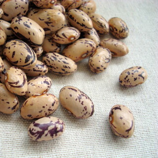 楽天市場】2021年 北海道産 パンダ豆(シャチ豆)【200g】 : 豆・雑穀の