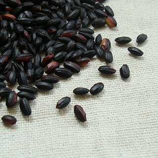 楽天市場】雑穀 u003e えごま u003e 黒えごま：豆・雑穀の専門店 すずや