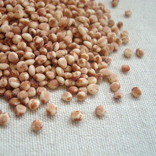 カガさん専用　令和7年岩手県産乾燥わらび　７キロ カガさん専用 令和7年岩手県産乾燥わらび 7キロ