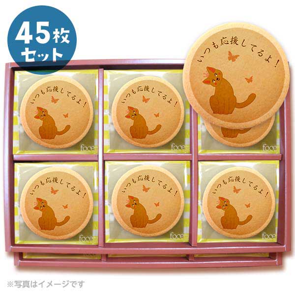 クッキー イラスト プリント メッセージ いつも応援してるよ! 応援 プチギフト 洋菓子 お菓子 お取り寄せスイーツ 通販 人気 贈り物 おすすめ 有名 フォチェッタ focetta 45枚セット