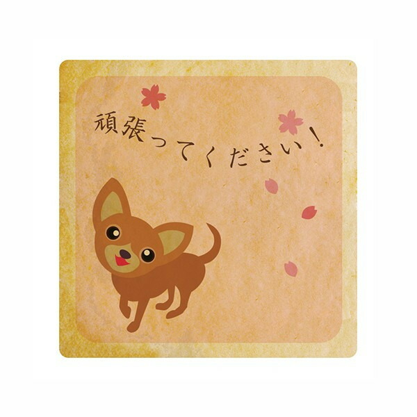 楽天市場 メッセージクッキー頑張ってください 応援 プチギフト 低糖質 スイーツ工房フォチェッタ