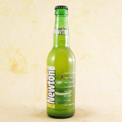 ニュートン(青りんご)330ml 24本 ベルギービール クラフトビール ケース販売 お酒 母の日 プレゼント 10,256円