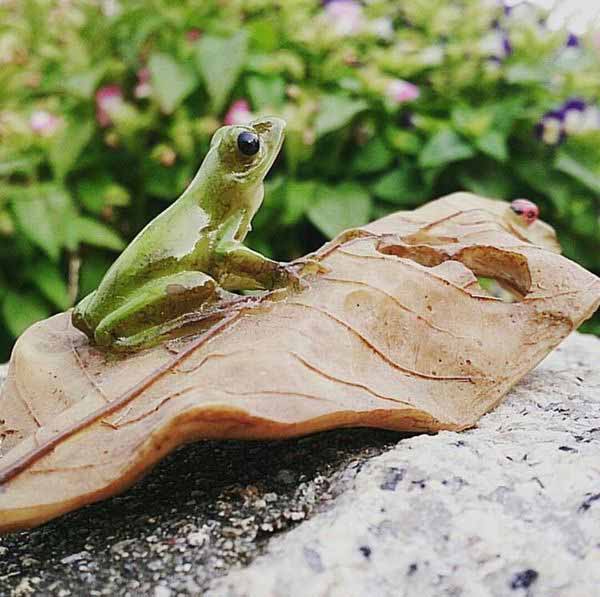 楽天市場】実物大 動物 オブジェ キンスジアメガエル・親 インテリア