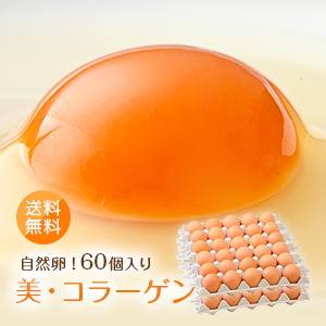 九州産赤玉太陽卵「美・コラーゲン（60個入り）」送料無料 玉子 まとめ買い 朝採れ 新鮮 鶏卵 長崎産 海洋性 コラーゲン 独自配合飼料 天然良素材