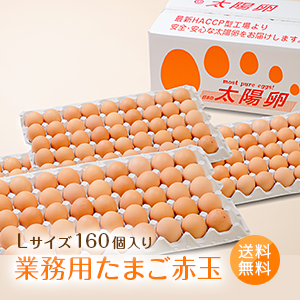 業務用たまご「太陽卵赤玉Lサイズ（160個入）」送料無料 家庭用 業者用 箱売り まとめ買い 九州産 タマゴ 玉子 大量 生卵 鶏卵 有名ホテル使用