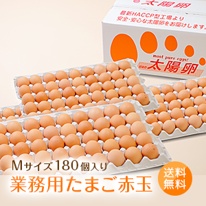 業務用たまご「太陽卵赤玉Mサイズ（180個入）」送料無料 家庭用 業者用 箱売り まとめ買い 九州産 タマゴ 玉子 大量 生卵 鶏卵 有名ホテル使用