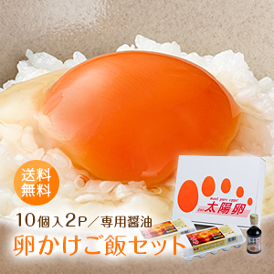 送料無料「卵かけご飯セット(太陽卵10個2パック×卵かけご飯専用醤油1本)」赤玉 鶏卵 新鮮 九州産 TKG 贈答用 ギフト お歳暮 こだわり卵 プレゼント