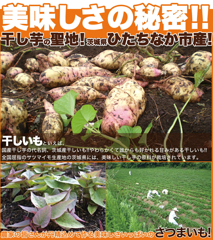 正規品 干し芋 0g 茨城県産 国産 訳あり 無添加 無着色 砂糖不使用 さつま芋 芋 玉豊 いずみ 玉乙女 ほし黄金 ほしキラリ 紅はるか 紅まさり 平干し おやつ 常温 Fundofigueira Org Br