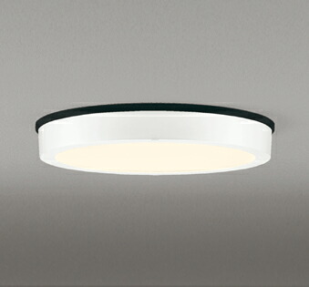 [即日出荷] OG254808R オーデリック FCL30W相当 高演色LED シーリングライト 電球色 オフホワイト 防雨型
