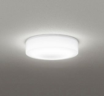 [即日さし出し] OG254873R オーデリック R15位置付け2 高演色LED エクステリア 合財袋ともし火・軒下灯 高温発光灯手道具100W好いかげんに 昼白いこと 乳白 防雨・防湿型 傾斜角度上昇限度相応う