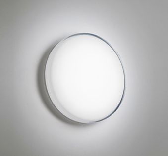OW269021R オーデリック R15クラス2 高演色LED　エクステリア　ポーチライト・軒下灯　[FCL30W相当][昼白色][乳白][防雨・防湿型][傾斜天井対応]