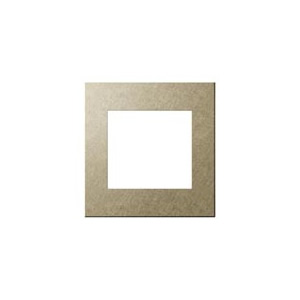 WNS9650Y パナソニック SO-STYLE ソー・スタイル　EXTRA （エクストラ）メタル　プレート 2連接穴用　[ゴールド]