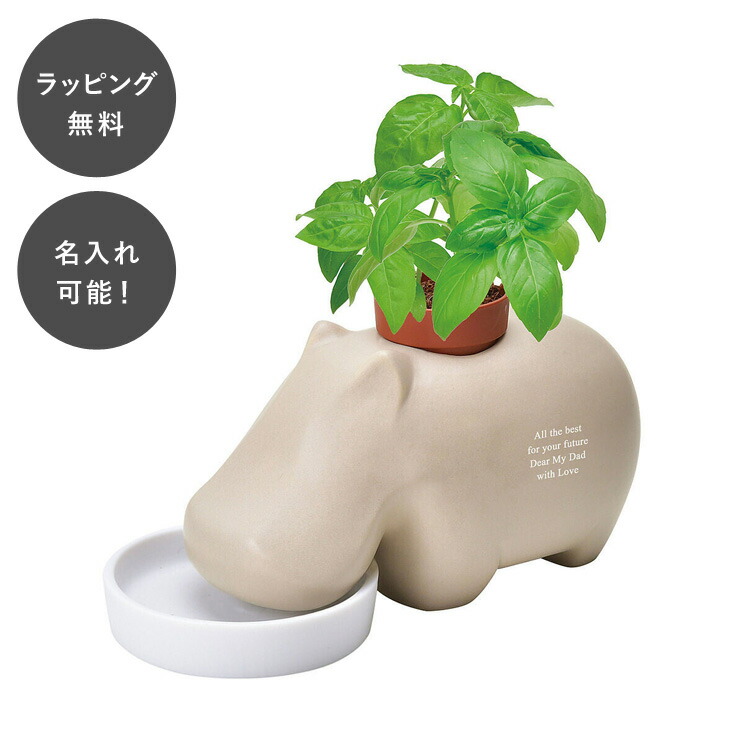 【平日7日以内に出荷】名入れ ヒポポプラント ベージュ バジル ハーブ 日本製 栽培キット 鉢植え 家庭菜園