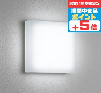 【5日限定5%OFFクーポン】ブラケットライト 洋風 屋内屋外兼用 天井面・傾斜面取付可 昼白色(5000K) ※工事必要
