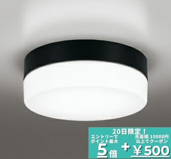 【ﾏﾗｿﾝ中最大10％OFFｸｰﾎﾟﾝ】ブラケットライト 洋風 屋内屋外兼用 防湿対応 一般浴室可 天井面・傾斜面取付可 昼白色(5000K) ※工事必要