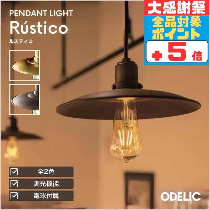 専用 ODELIC オーデリック スポットライト アルミダイカスト(真鍮古味) 専用 ODELIC オーデリック スポットライト アルミダイカスト(真鍮古味)