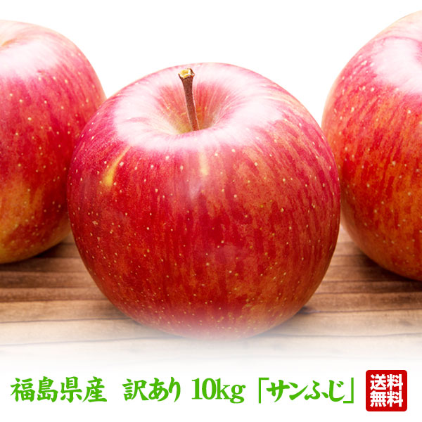 訳あり 福島県産りんご 10kg(26玉〜40玉)  ふじ サンふじ 送料無料 林檎　ご家庭用リンゴ