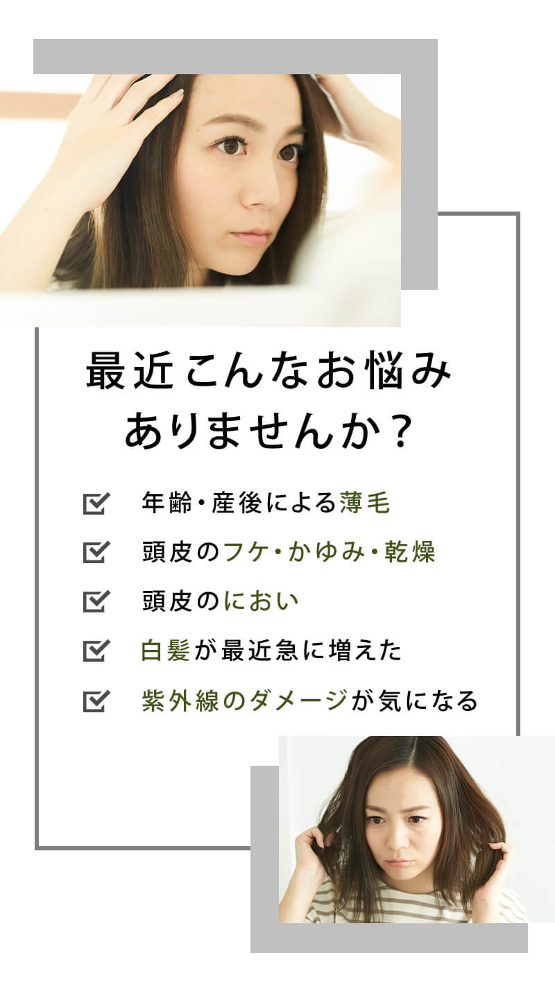 楽天市場 あす楽 送料無料 Addit アディット オーガニック スカルプエッセンス 0ml 楽天1位 スプレー 頭皮ケア 産後 薄毛 オーガニック 白髪 臭い 化粧水 トップサロン コスメ